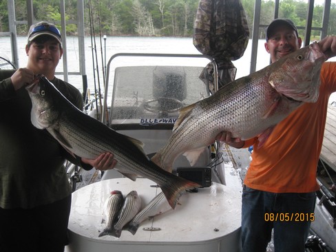 Nice Striped Bass